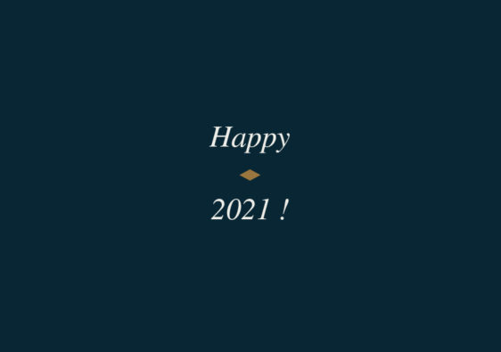 meilleurs voeux 21 bonne année 21 bye bye 20 joyeuse année happy new year 21