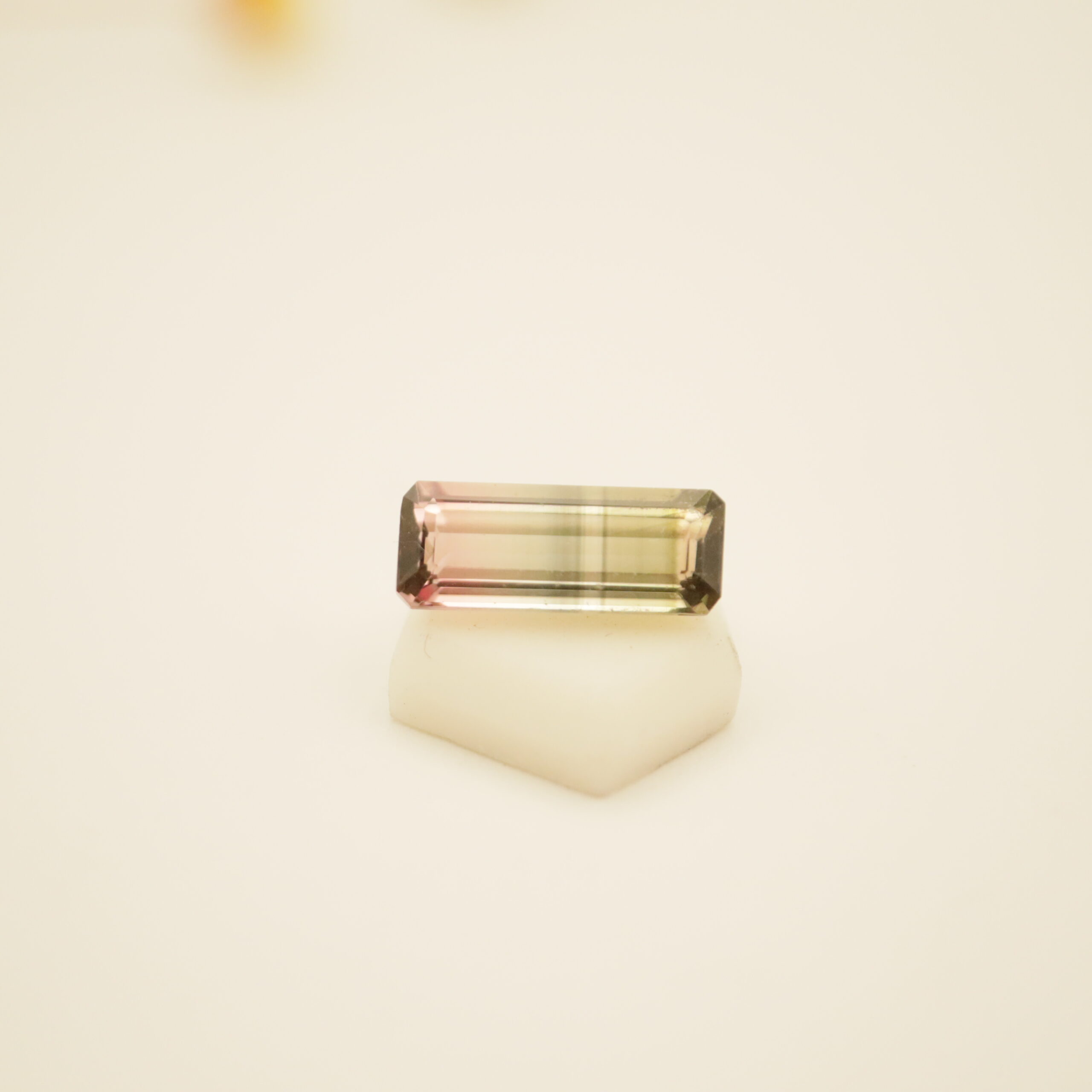 Tourmaline watermelon